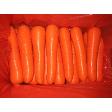 300g et plus de carottes fraîches